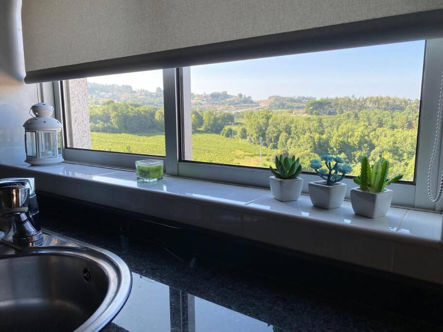 S. Mamede House - Penafiel Διαμέρισμα Recezinhos Εξωτερικό φωτογραφία